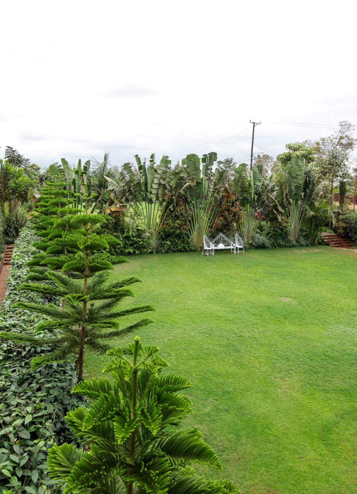 Small Garden: intimate green lawn with tropical planting and a white garden bench at Vipe Bliss Gardens