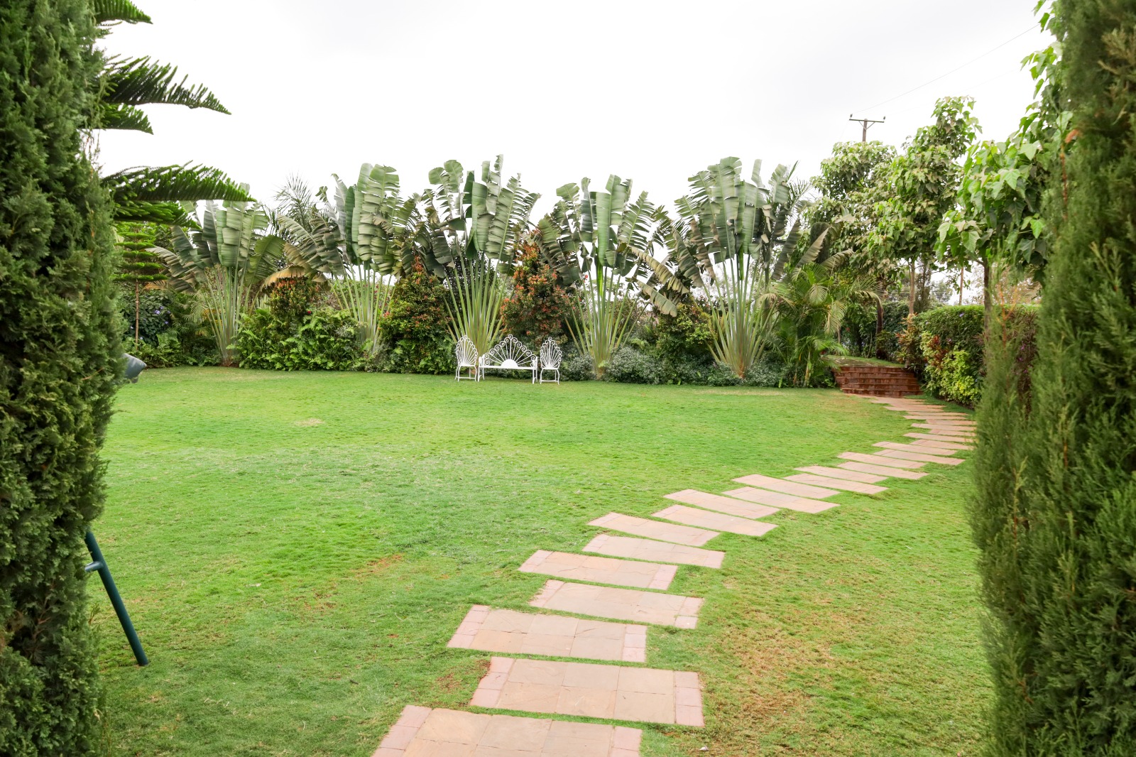 Manicured lawn framed by cypress hedges with a stone path leading to white garden chairs